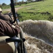 safari auto door het water