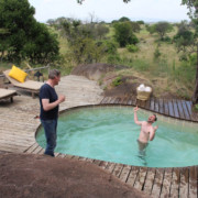 zwembad afrika afrikaanse safari