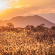 golden hour sundowner zuid-afrika afrika